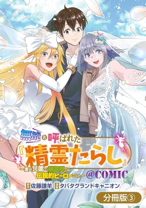 無能と呼ばれた『精霊たらし』〜実は異能で、精霊界では伝説的ヒーローでした〜＠COMIC【分冊版】/ 3