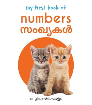 ŷKoboŻҽҥȥ㤨My First Book of Numbers - Sanghyagal My First English - Malayalam Board BookŻҽҡ[ Wonder House Books ]פβǤʤ132ߤˤʤޤ