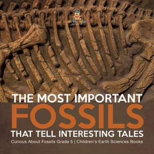 The Most Important Fossils That Tell Interesting Tales | Curious About Fossils Grade 5 | Children's Earth Sciences Books