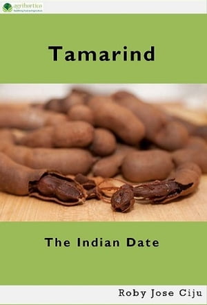 Tamarind, the Indian Date