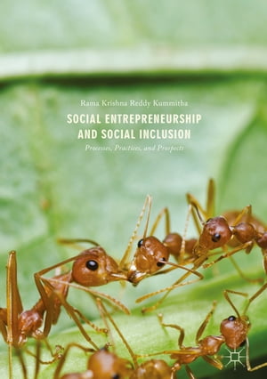 Social Entrepreneurship and Social Inclusion