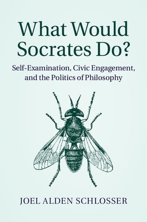 What Would Socrates Do? Self-Examination, Civic Engagement, and the Politics of Philosophy【電子書籍】[ Joel Alden Schlosser ]