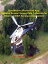 ŷKoboŻҽҥȥ㤨CartoMobile iPhone/iPad App: Optimize Ground Survey Data Collection for Airborne LIDAR Accuracy AssessmentŻҽҡ[ James W. Dow ]פβǤʤ393ߤˤʤޤ