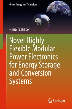 Novel Highly Flexible Modular Power Electronics for Energy Storage and Conversion Systems