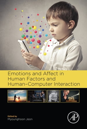 Emotions and Affect in Human Factors and Human-Computer Interaction