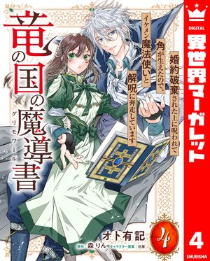 竜の国の魔導書 〜婚約破棄された上に呪われて角が生えたので、イケメン魔法使いと解呪に奔走しています〜 4