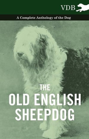 The Old English Sheepdog - A Complete Anthology of the Dog