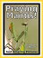 Just Praying Mantis Photos! Big Book of Photographs & Pictures of Praying Mantis, Vol. 1