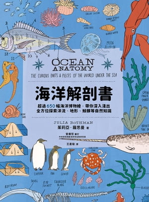 海洋解剖書：超過650幅海洋博物繪，帶你深入淺出，全方位探索洋流、地形、鯨豚等自然知識