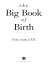 The Big Book of Birth