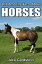 101 Amazing Facts about Horses