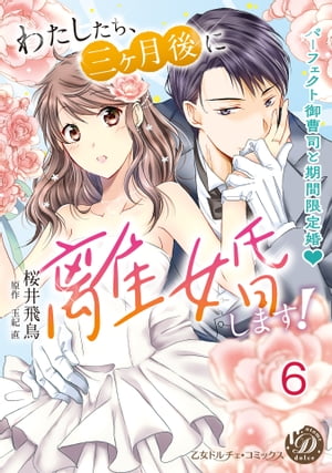 わたしたち、三ヶ月後に離婚します！〜パーフェクト御曹司と期間限定婚〜【分冊版】6