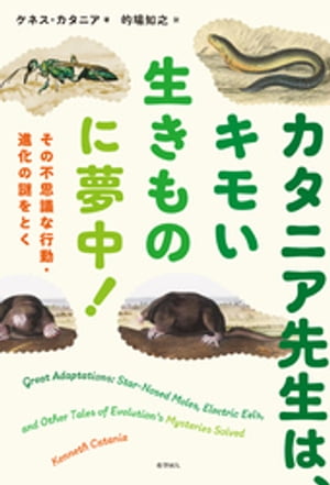 カタニア先生は、キモい生きものに夢中！