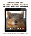 Getting a Squirrel to Focus in the Virtual World Not Just Content, but Connectio...