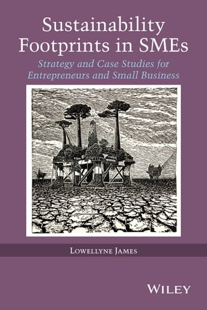 Sustainability Footprints in SMEs Strategy and Case Studies for Entrepreneurs and Small Business【電子書籍】 Lowellyne James