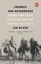 Enemies and Neighbours Arabs and Jews in Palestine and Israel, 1917-2017