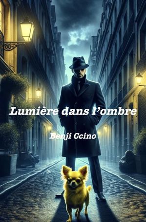 Lumière dans l’Ombre