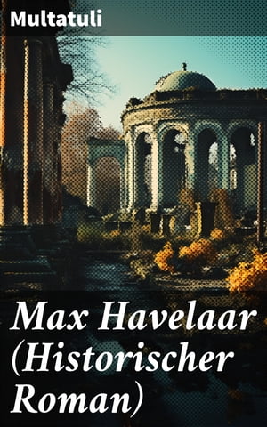 Max Havelaar (Historischer Roman) Die Kaffee-Versteigerungen der Niederl?ndischen Handels-Gesellschaft