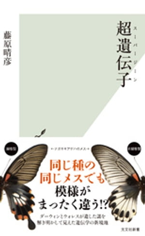 超遺伝子（スーパージーン）【電子書籍】[ 藤原晴彦 ]