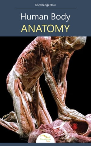 Human Body Anatomy by Knowledge flow【電子書