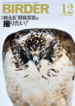 BIRDER2021年12月号【電子書籍】[ BIRDER編集部 ]