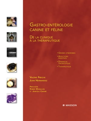 Gastro-entérologie canine et féline