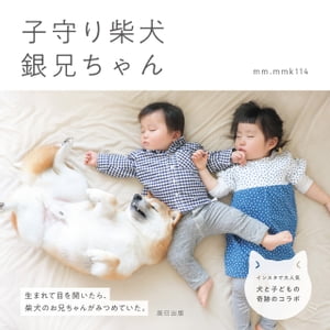 子守り柴犬 銀兄ちゃん