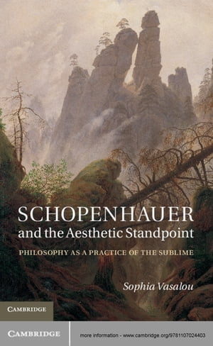 Schopenhauer and the Aesthetic Standpoint