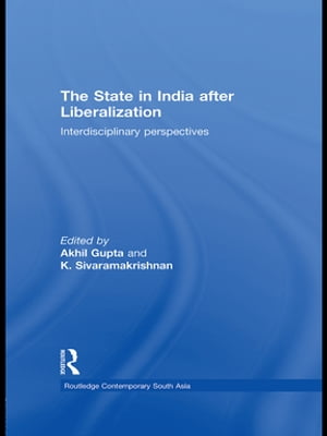 The State in India after Liberalization Interdisciplinary Perspectives