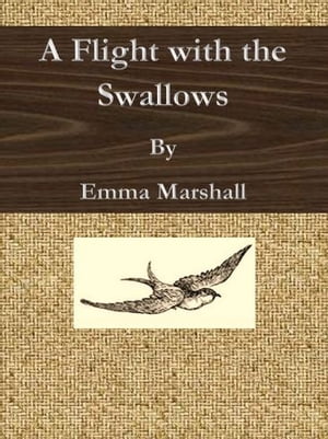 A Flight with the Swallows