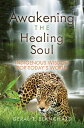 Awakening the Healing Soul Indigenous Wisdom for Today's World【電子書籍】[ Geral Blan...