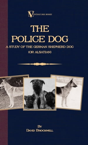 The Police Dog: A Study Of The German Shepherd (Or Alsatian)