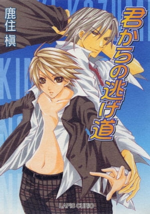 君からの逃げ道【電子書籍】[ 鹿住 槙 ]