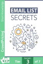 Email List Secrets: Discover The Step-By-Step Blueprint To Building a Thriving Email List and Increase Your Profits Starting Today!