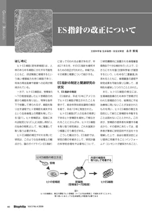 ES指針の改正について