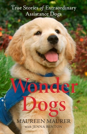 Wonder Dogs