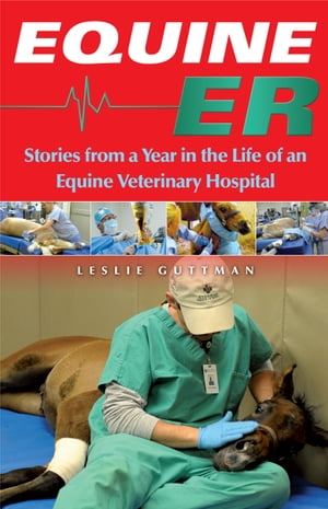 Equine ER