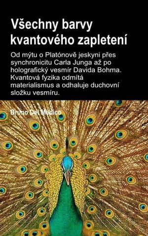 Všechny barvy kvantového zapletení.Od mýtu o Platónově jeskyni přes synchronicitu Carla Junga až po holografický vesmír Davida Bohma