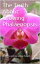 The Truth About Growing Phalaenopsis Orchids