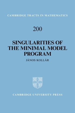 Singularities of the Minimal Model Program