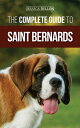 ŷKoboŻҽҥȥ㤨The Complete Guide to Saint Bernards Choosing, Preparing for, Training, Feeding, Socializing, and Loving Your New Saint Bernard PuppyŻҽҡ[ Jessica Dillon ]פβǤʤ1,334ߤˤʤޤ