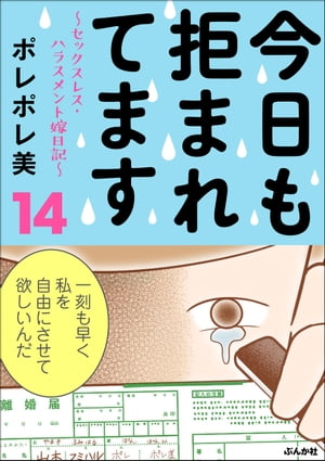 今日も拒まれてます〜セックスレス・ハラスメント 嫁日記〜 （14）