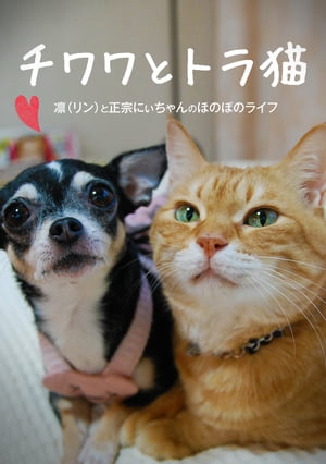 チワワとトラ猫 -凛と正宗にぃちゃんのほのぼのライフ-