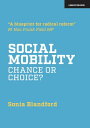 Social Mobility: Chance or Choice?