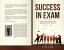 Success in Exam! How to Prepare For Exams Effectively?