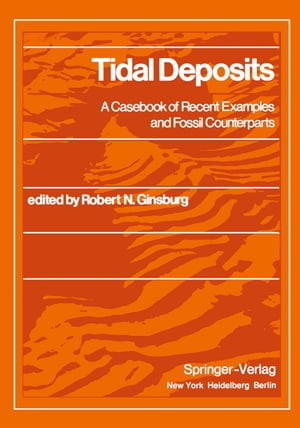 Tidal Deposits