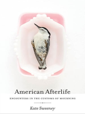 American Afterlife