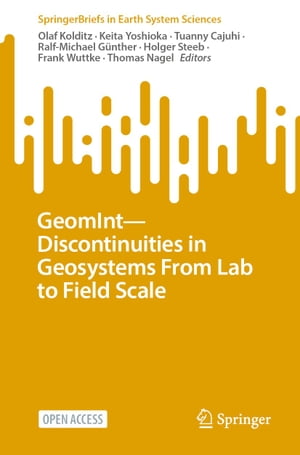 GeomIntーDiscontinuities in Geosystems From Lab to Field Scale