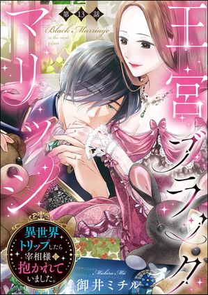 王宮ブラックマリッジ 異世界トリップしたら宰相様に抱かれていました。（分冊版） 【第13話】