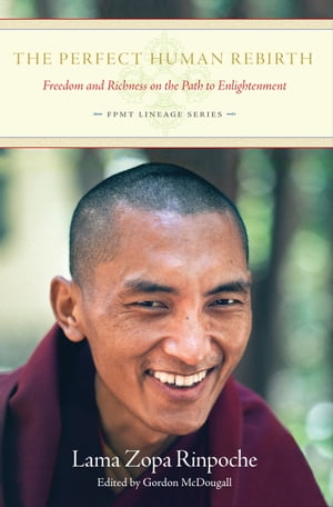 The Perfect Human Rebirth: Freedom and Richness on the Path to Enlightenment